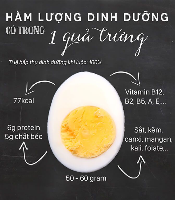 Trứng gà rất giàu dinh dưỡng