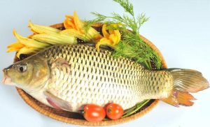Dinh dưỡng có chủ yếu trong cá là các dưỡng chất thiết yếu