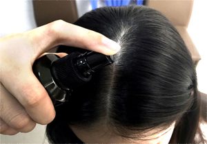 Hương nhu có tác dụng thúc đẩy sự phát triển của tóc