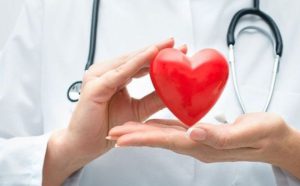 Hương nhu cải thiện sức khỏe tim mạch