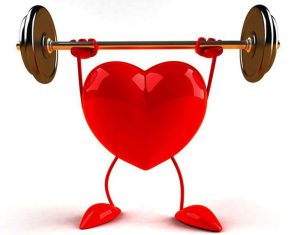 Húng quế giúp nâng cao sức khỏe tim mạch