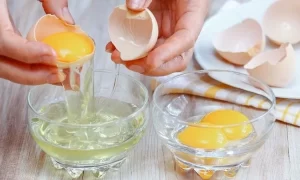Nên ăn cả lòng trắng trứng và lòng đỏ trứng