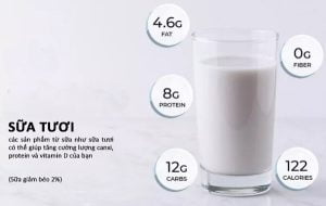 Sữa giàu protein, chất béo cùng các vitamin và khoáng chất