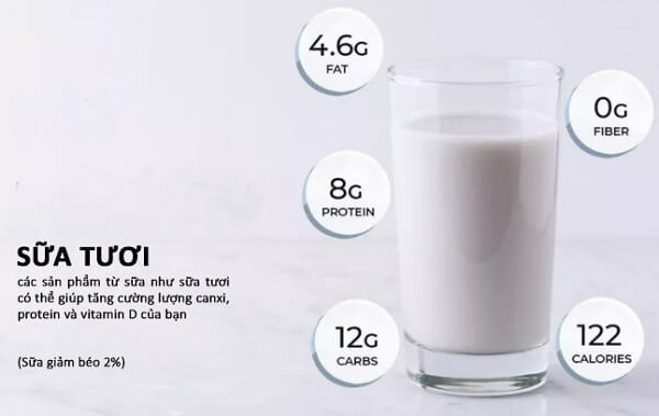 Sữa giàu protein và các khoáng chất