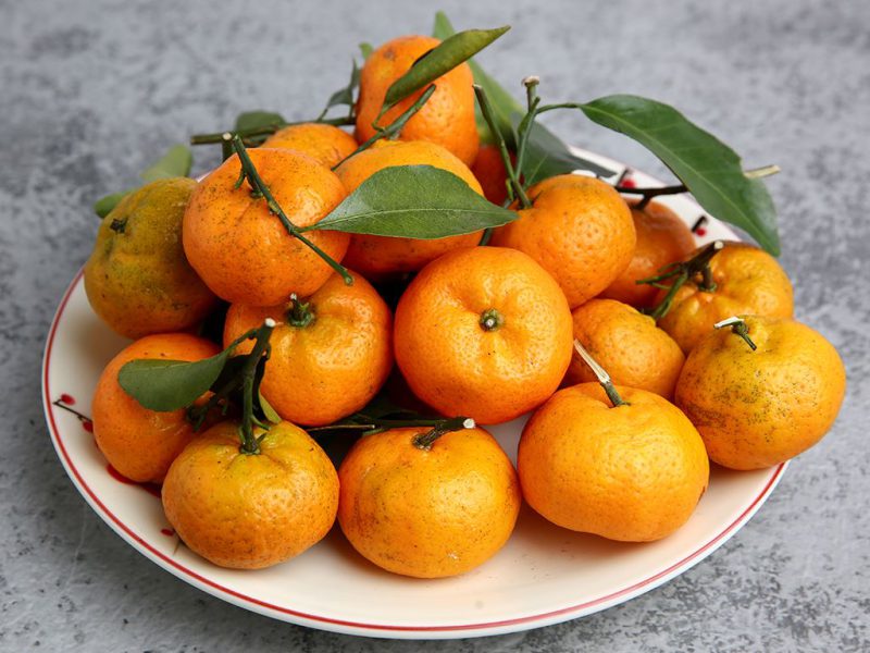 Quýt là trái cây phổ biến ở Việt Nam