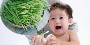 Trẻ em ăn nhiều lá hẹ có tốt không?