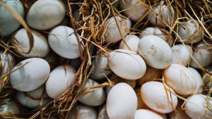 Một quả trứng vịt có chứa khoảng 130 calo