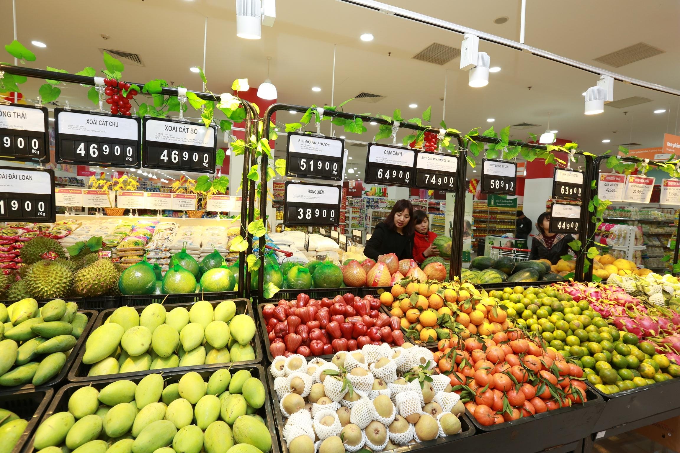Quả roi đỏ được bày bán tại hệ thống siêu thị, cửa hàng trái cây
