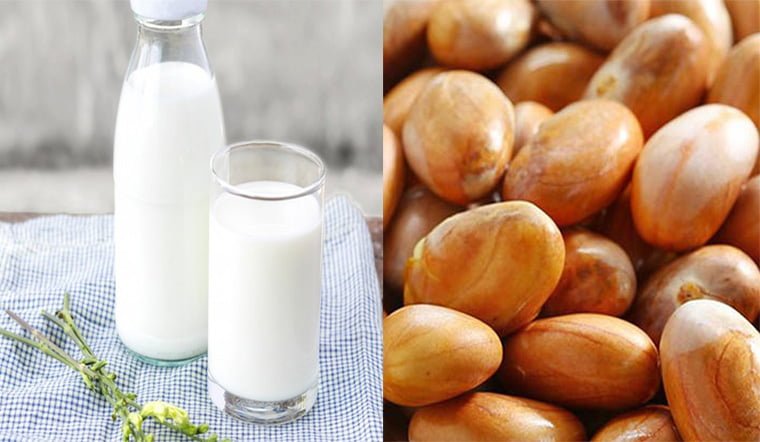 Sữa hạt mít thơm ngon giàu Vitamin
