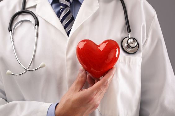 Lá ổi giúp bảo vệ tim mạch