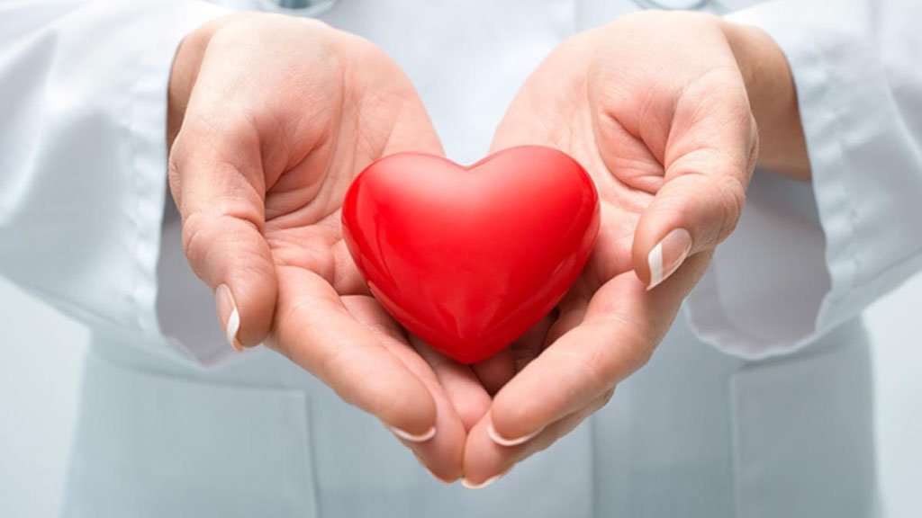 Cải thiện các bệnh liên quan đến tim mạch từ củ hành