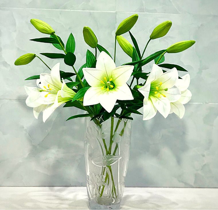 Hoa loa kèn là một loại thực vật có hoa thuộc chi Lilium, họ loa kèn