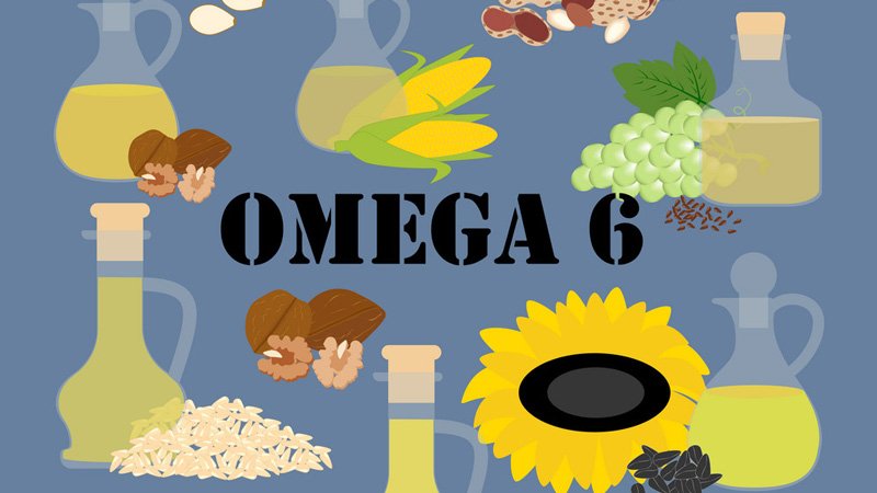 Omega 6 là gì