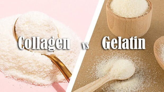 Điểm khác nhau giữa collagen và ge