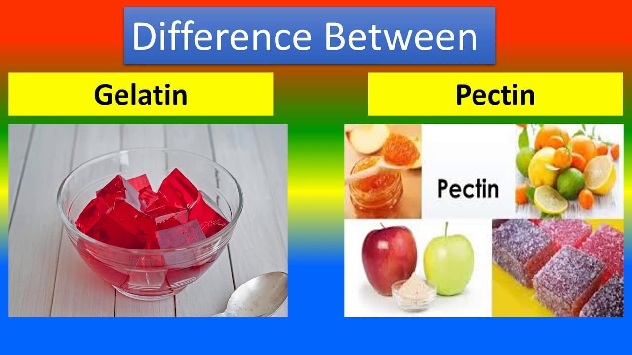 Điểm khác nhau giữa Gelatin và Petin là gì