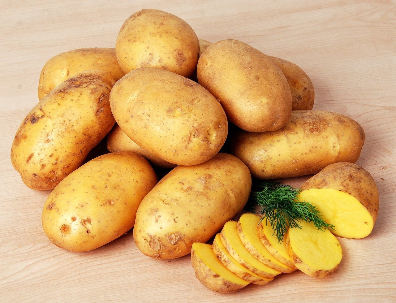 Chất solanin có trong củ khoai tây là một chất có khả năng gây độc